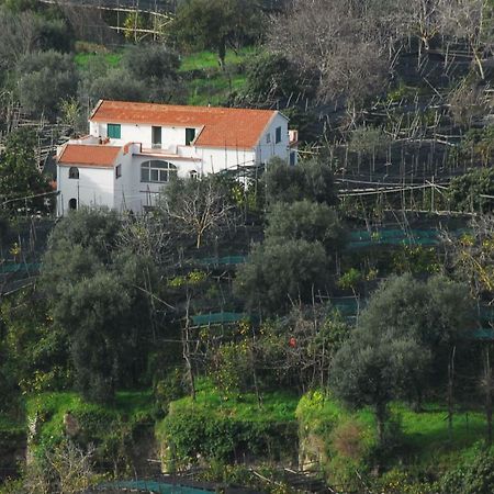 Azienda Agricola Veniero Piano di Sorrento Extérieur photo