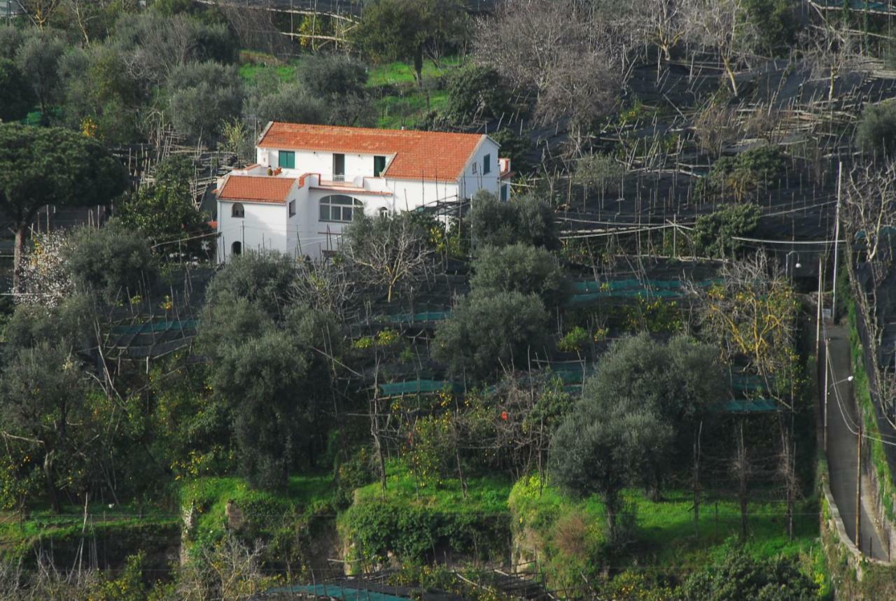 Azienda Agricola Veniero Piano di Sorrento Extérieur photo